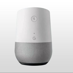 Google Home Assisstant